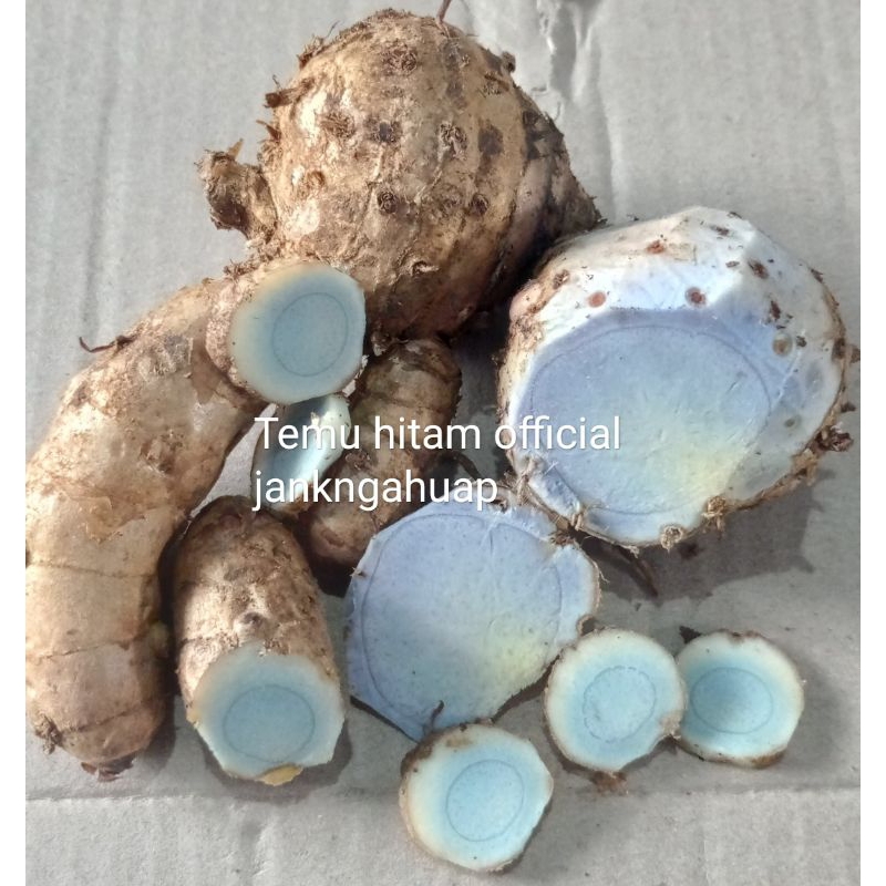 

Temu hitam official fresh 1 kg