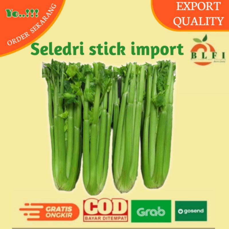 

SELEDRI STICK/CELERY STICK/SELEDRI IMPORT 1KG