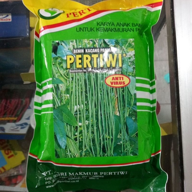 

BENIH KACANG PANJANG PERTIWI