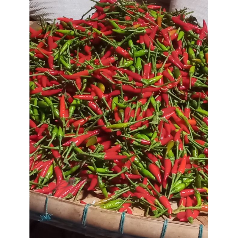 

Cabe Cabai Rawit Pedas Segar | 500gr 1kg fresh