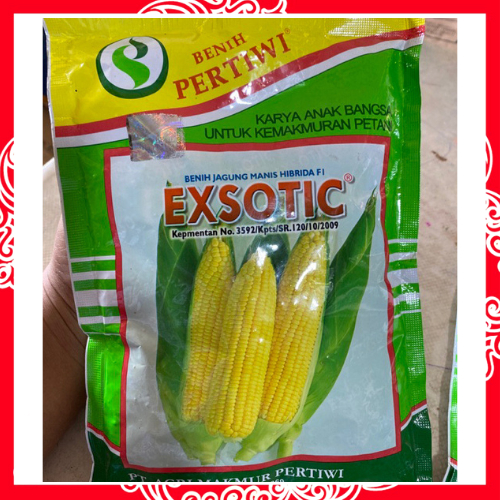

PROMO!! BENIH BIBIT JAGUNG MANIS EXSOTIC PERTIWI 1750 BUTIR BIJI ORIGINAL