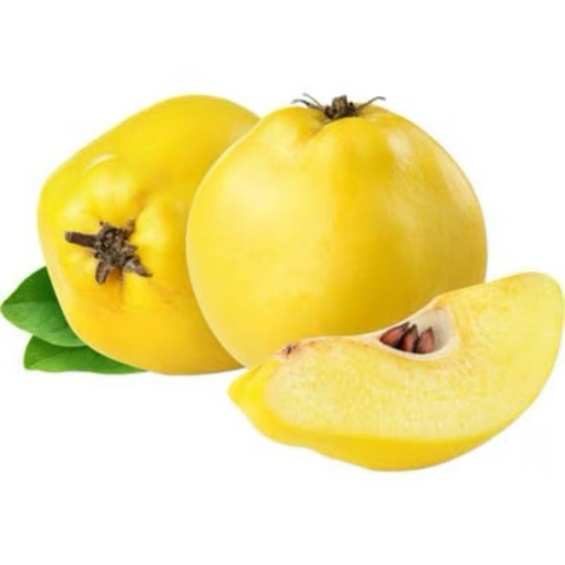 

Buah Safarjal / Buah Quince Per 1 buah