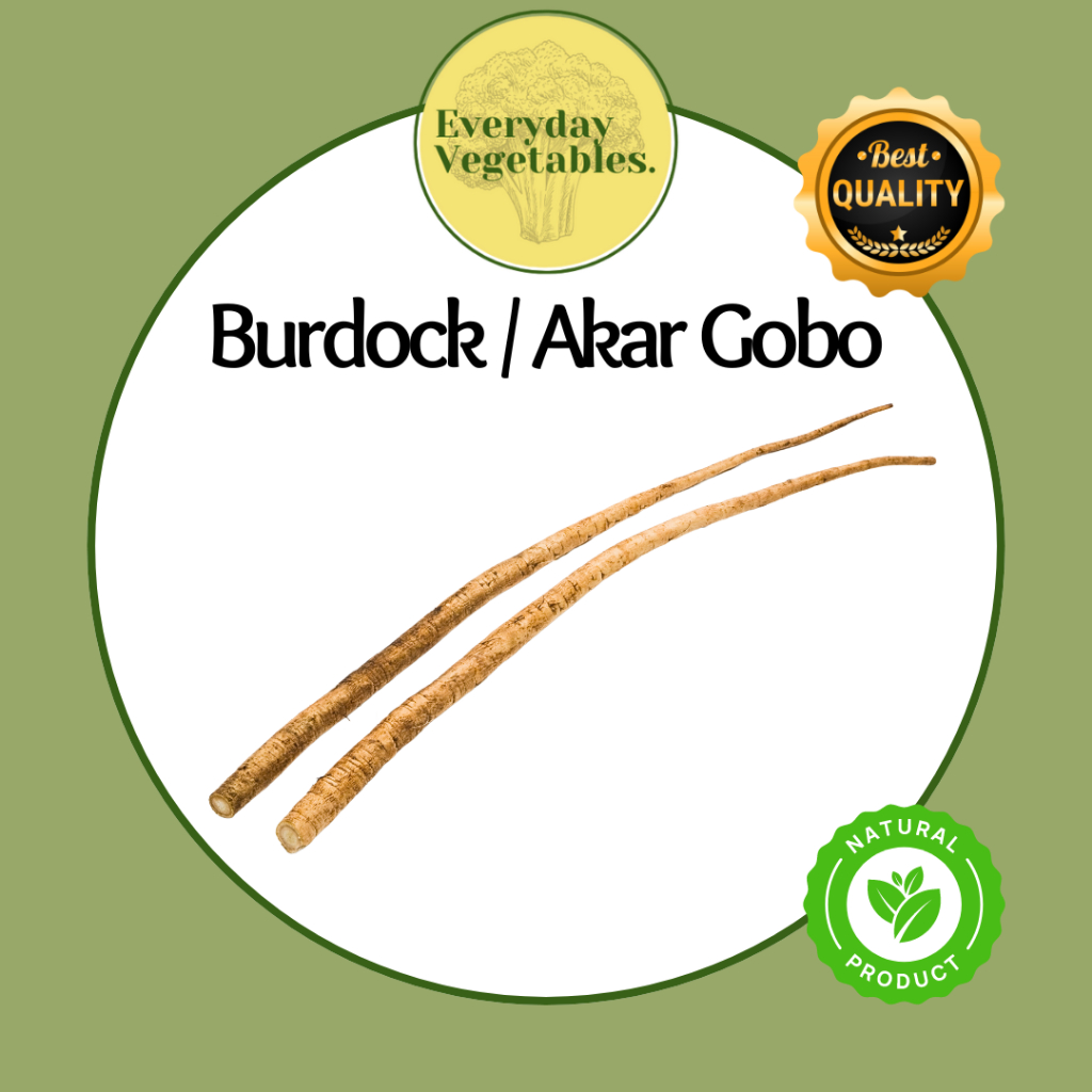 

Burdock (Akar Gobo/Akar Ketela Jepang) per KG