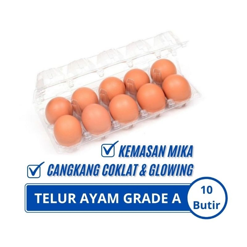 

Telur Ayam Negeri Grade A - Kemasan Mika
