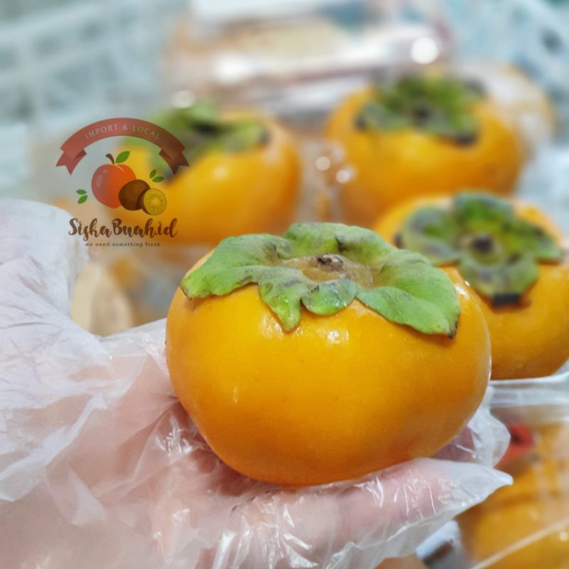 

PERSIMMON IMPORT | BUAH KESEMEK IMPORT