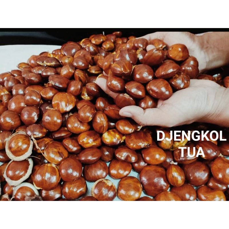 

JENGKOL TUA 1 KG RP 22.500,500 GRAM RP 12.000