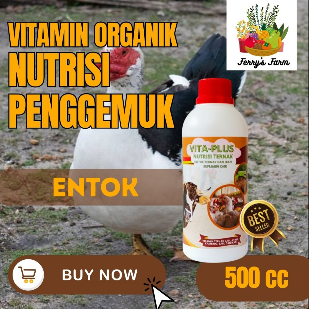 vitamin hewan ternak entok jumbo | obat ternak vitamin penggemuk unggas entok cepat besar