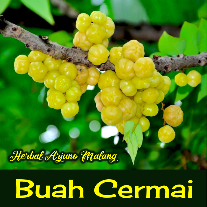 

PROMO Vacuum-Packed 250gram + 50gram Buah Cerme Cermai Ceremai Organik