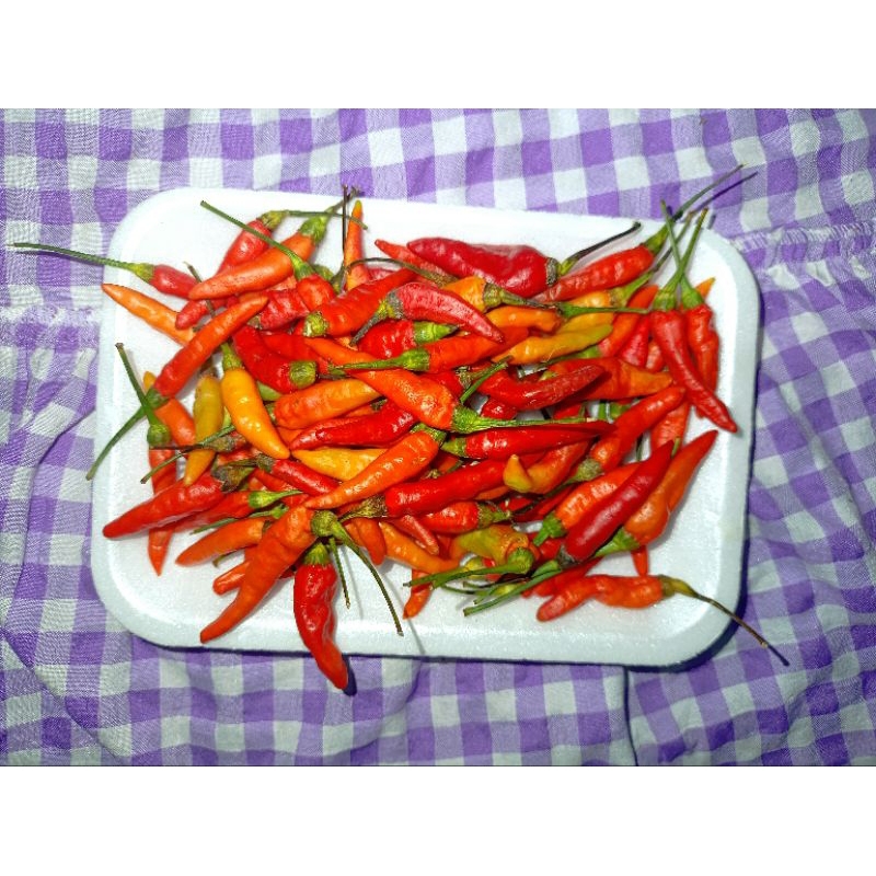 

CABAI KECIL