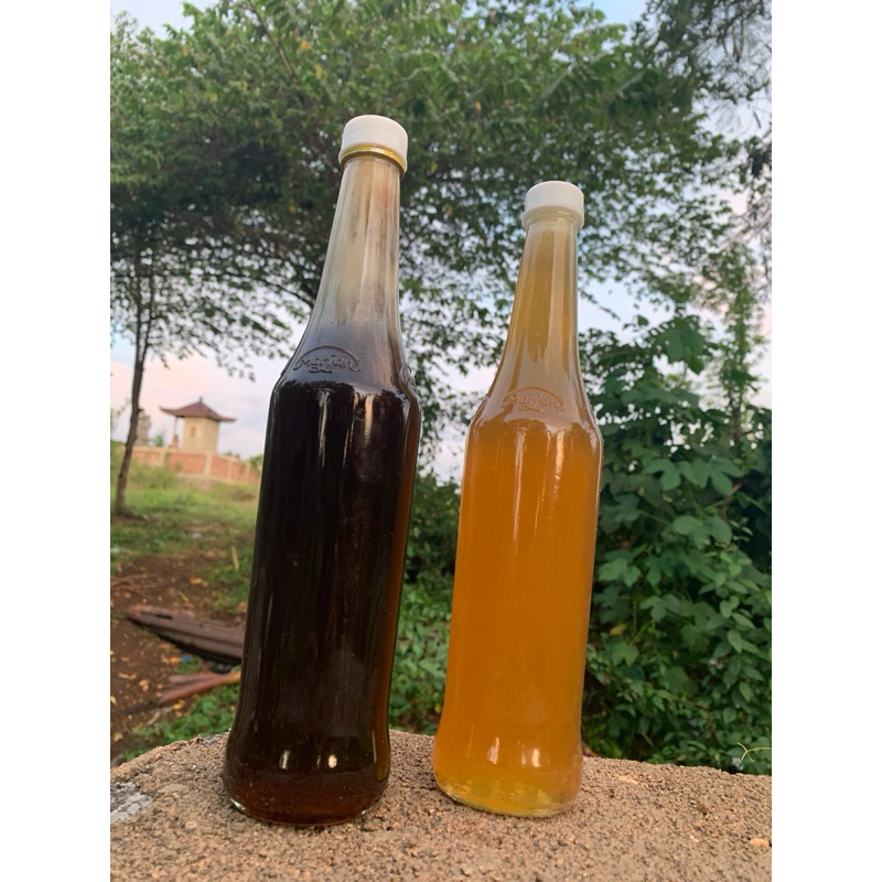 

Madu teigona itama rasa pahit