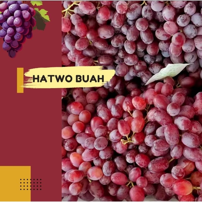 

Hatwo Buah Anggur Redglobe super import murah 1 kg