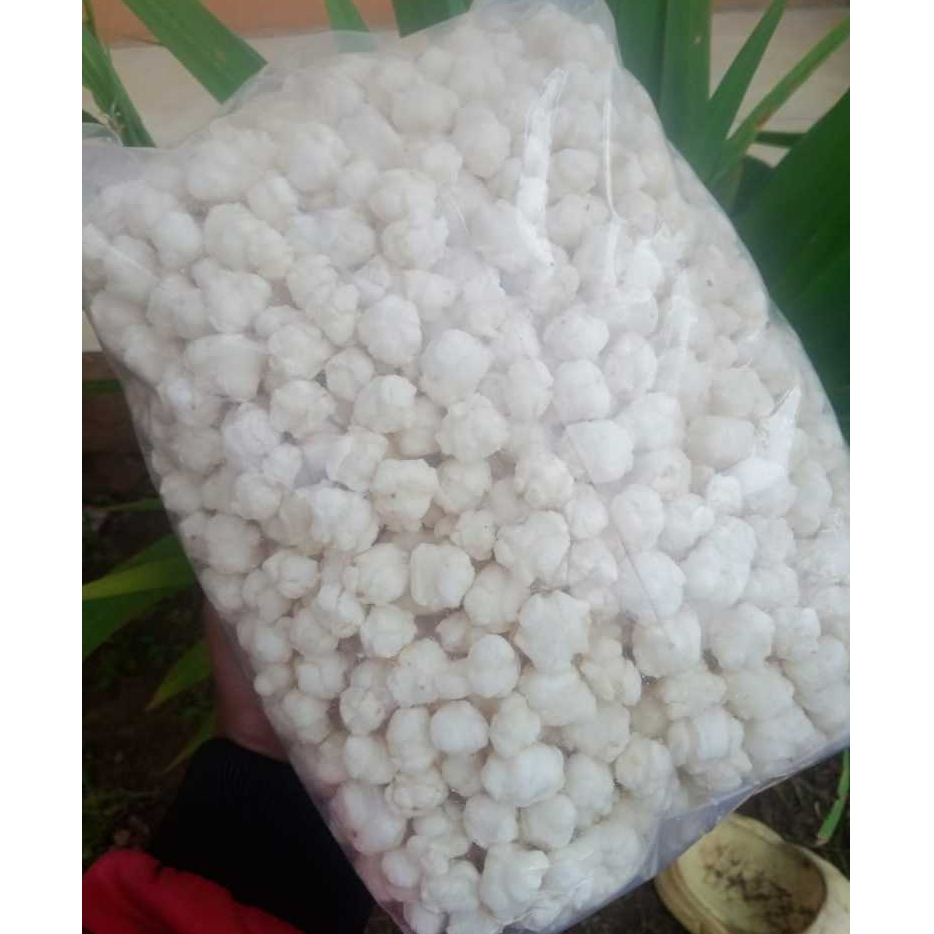 

TERLARIS 500 Gr Pilus Tiktak Kencur Cikur Ide Usaha Toping Seblak Baso Aci Renyah Termurah GRATIS Packing