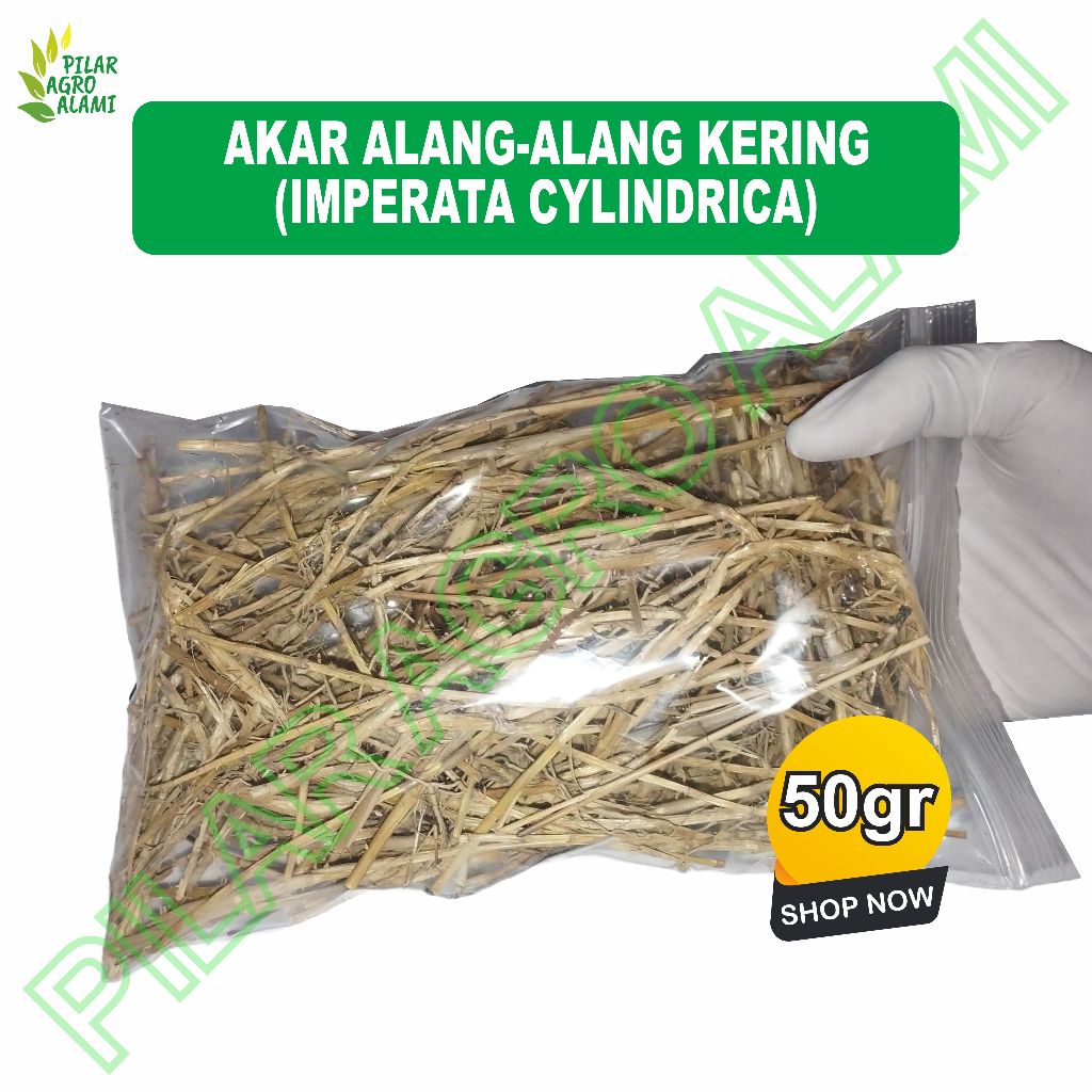 

Akar alang-alang kering asli 50gr