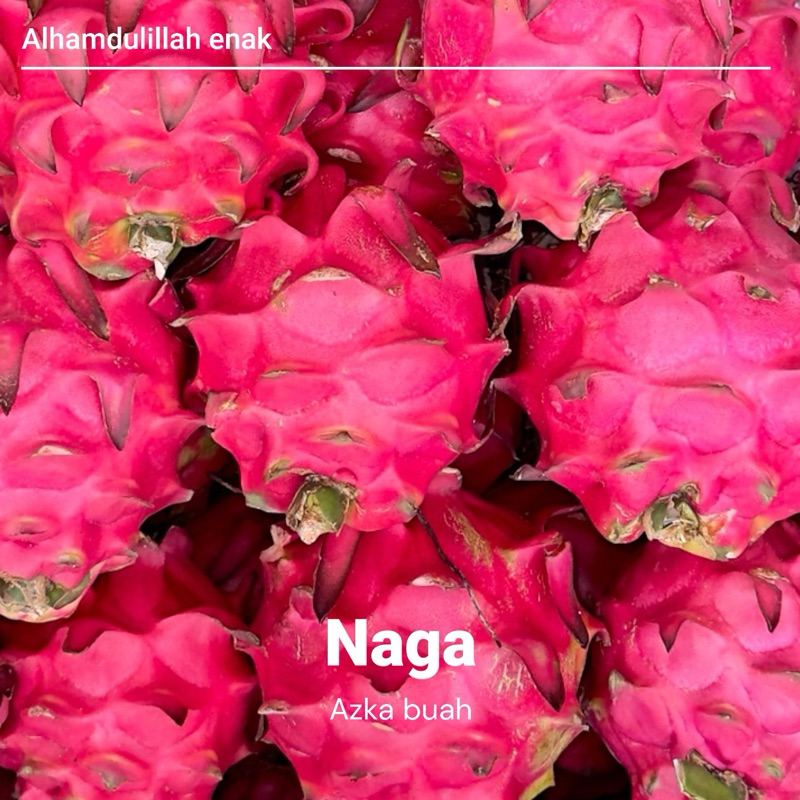 

buah naga