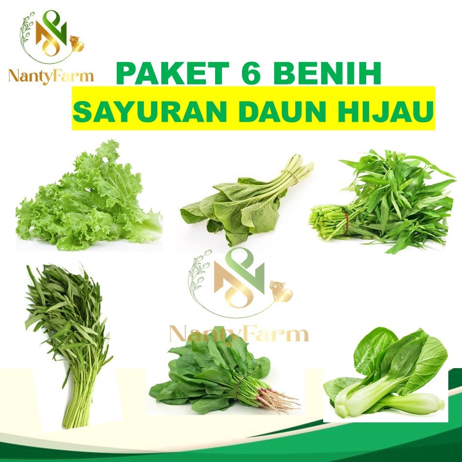 Paket 6 Benih Sayuran Daun Hijau - Paket Benih Sayur Mudah Tumbuh