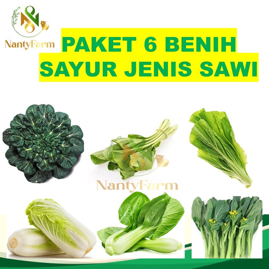 Paket 6 Benih Sawi Paket Benih Sawi - Sawian Paket Benih Sayuran Sawi Pakcoy Sawi Caisim Sawi Putih