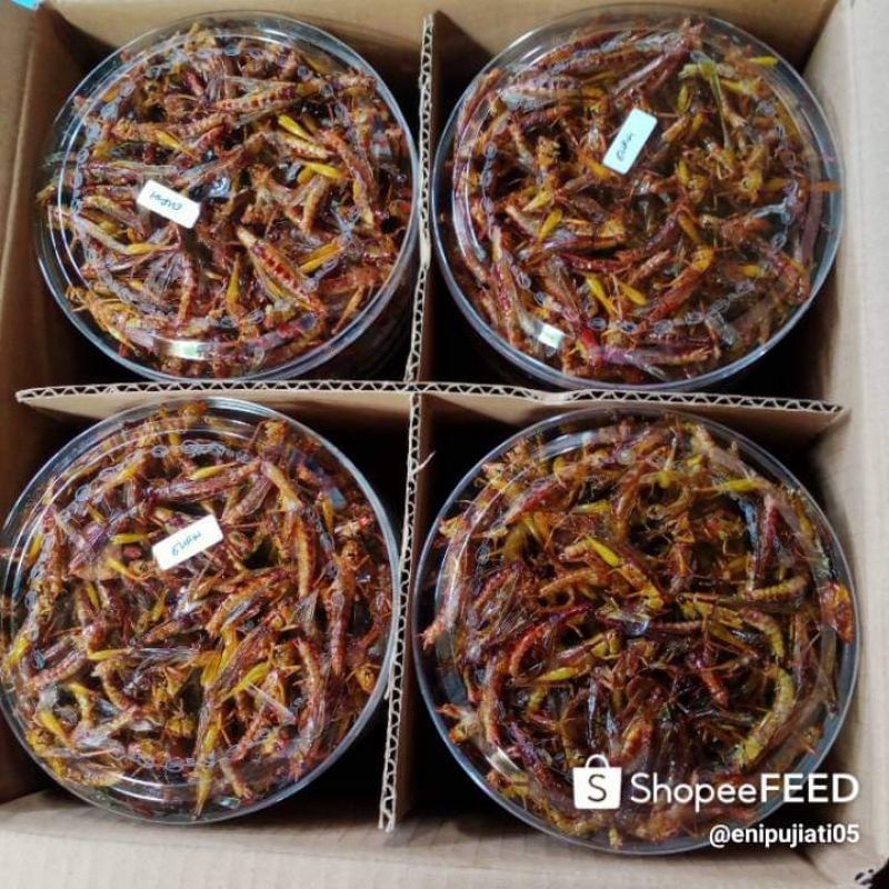 

promo 1 pket 100 rb isi 4 toples walang goreng pari BELALANG GORENG kriuk kriuk