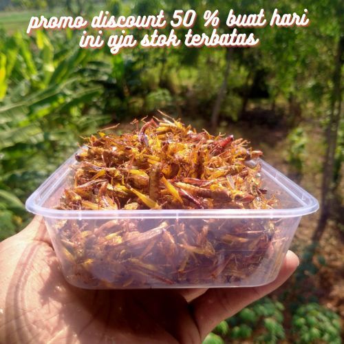 

bisa cod belalang goreng padi cemilan extrim 100 rb dapat 5 box campur rasa