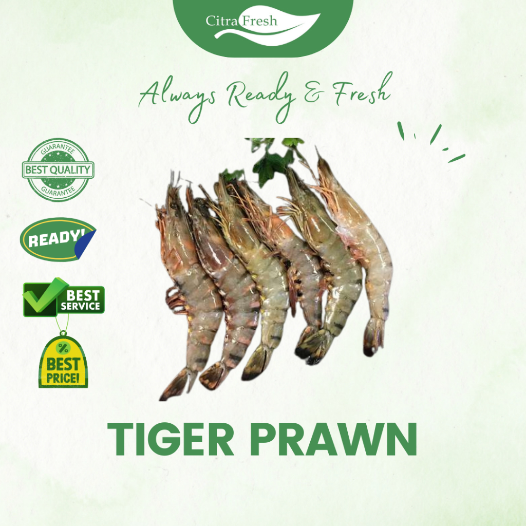 

CITRA FRESH - Tiger Prawn 900 - 1000 Gram - Selalu Ready dan Fresh