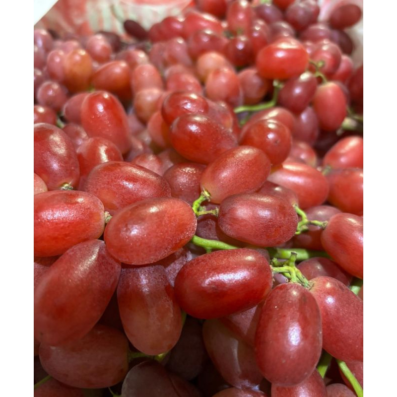 

Anggur Crimson | crimson grapes 500 gram | Anggur crimson bandung