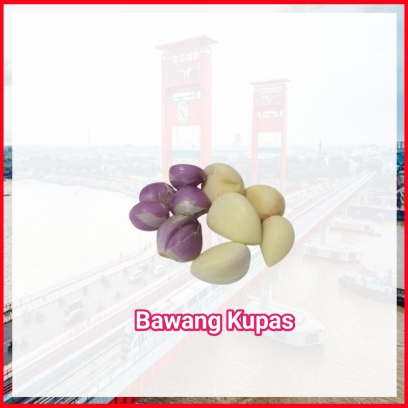 

Bawang Kupas Merah / Putih