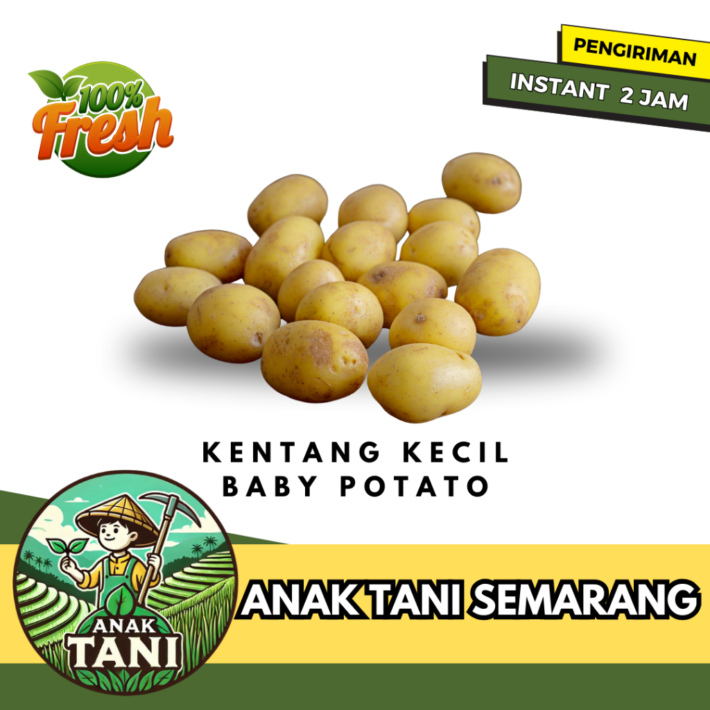 

[ANAK TANI] KENTANG KECIL BABY POTATO KENTANG RENDANG SEGAR 250 GRAM SIAP KIRIM INSTANTAREA SEMARANG