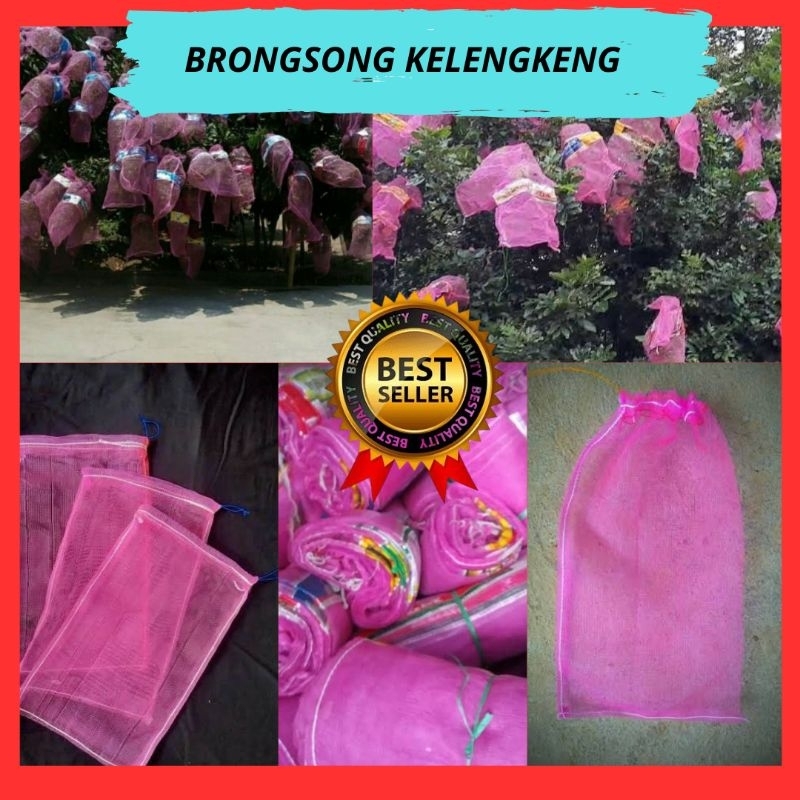 Jaring Buah Kelengkeng, Jaring Buah Lengkeng, Jaring Pohon Kelengkeng 10 pcs