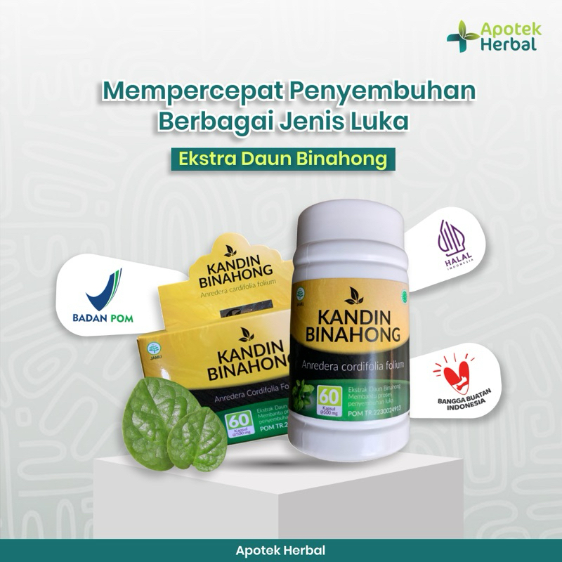 KAPSUL BINAHONG KADIN BINAHONG - kapsul ekstrak binahong kapsul luka