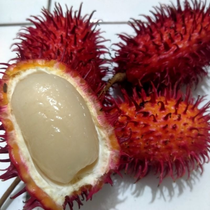 

RAMBUTAN HAYYAWANA MANIS 1KG.