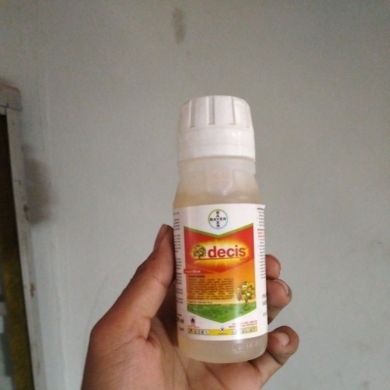 decis bayer insektisida segala hama