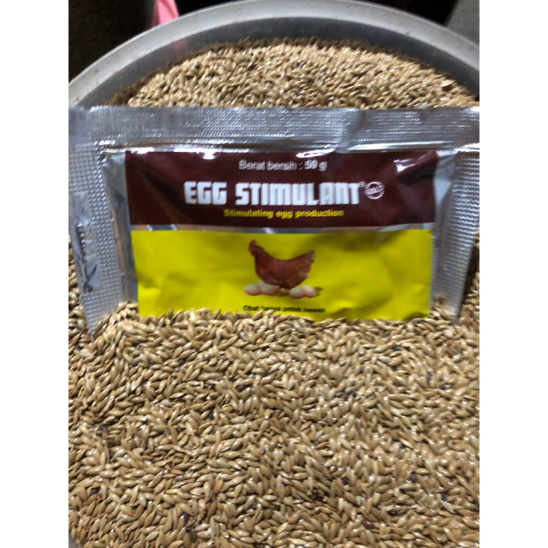 Egg Stimulant 50 Gram Medion Vitamin Ayam Petelur