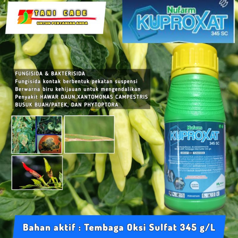 Bakterisida dan fungisida Kuproxat