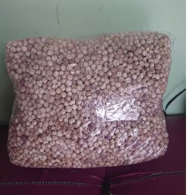 

Grosir 5kg Kapulaga Jawa Kering Kapolaga Lokal Wonosobo Cardamom