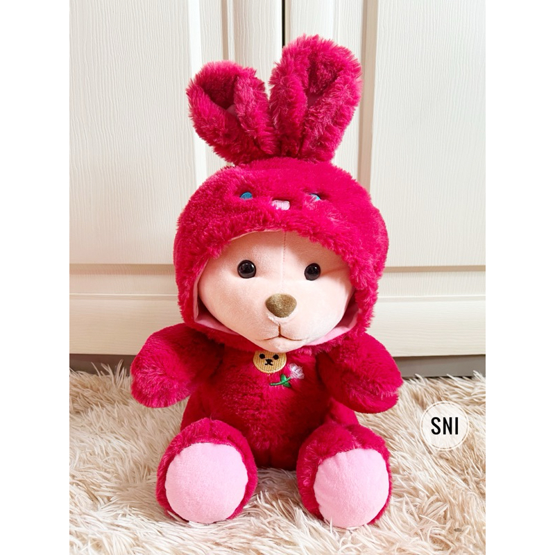 Boneka Beruang Teddy Bear Cosplay bear hoodie