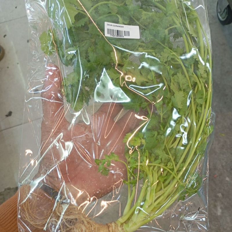 

Daun Coriander Segar Fresh