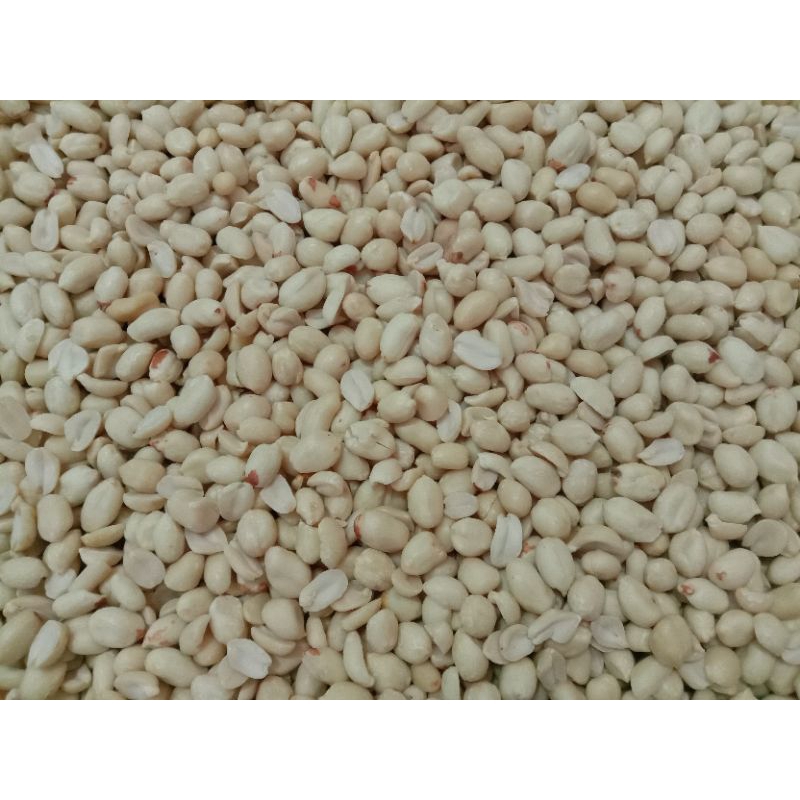 

Kacang Kupas Termurah (NO MURAHAN) 41/51