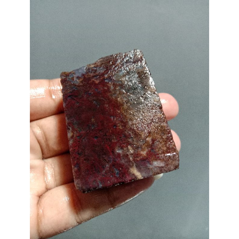 Rough Bahan Lumut Merah Suliki