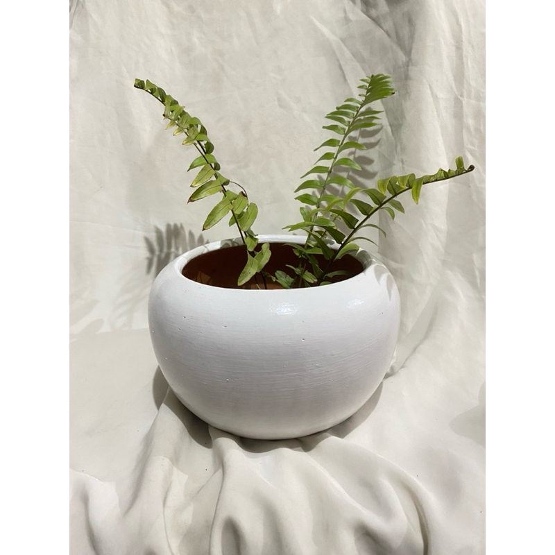 pot donat putih glossy gerabah keramik