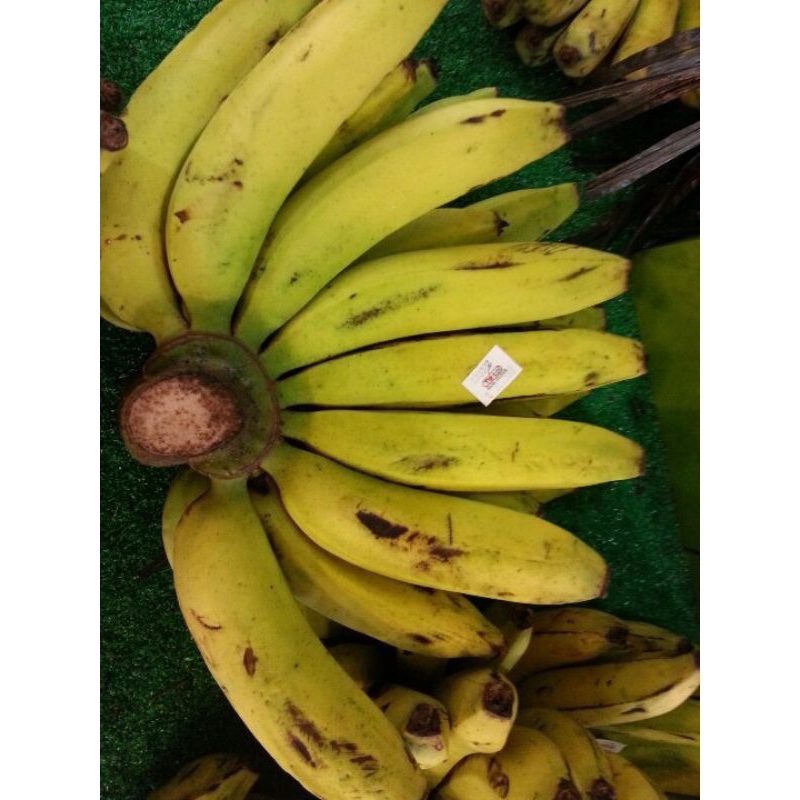 

PISANG AMBON LUMUT ORGANIK