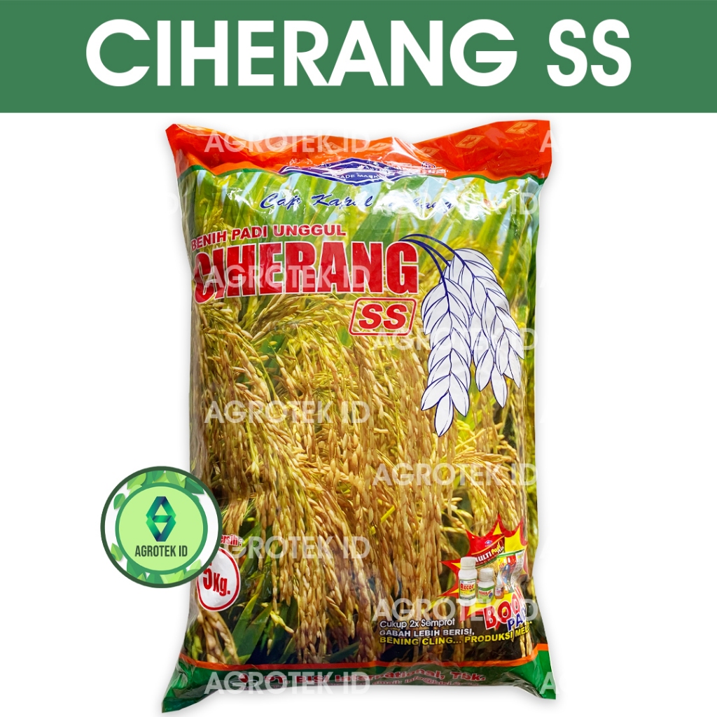 Benih Padi CIHERANG SS 5 Kg Cap Kapal Terbang