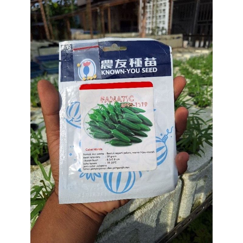 Benih Bibit Cabe Cabai Jalapeno Known You Seed Kemasan Repack / Cabai Ekstra Pedas