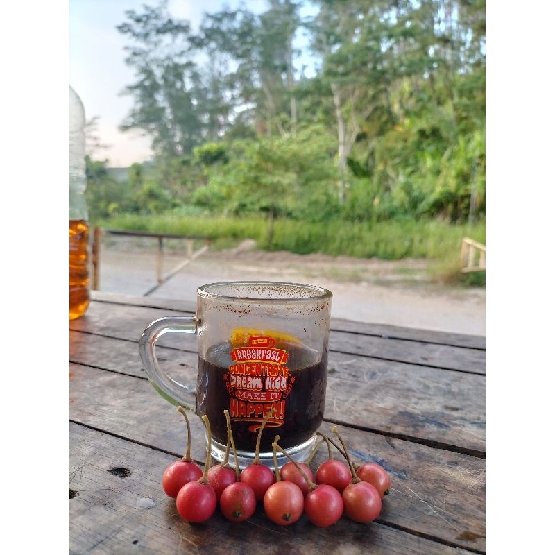 

Buah Kersen / Buah Talok 30 Butir Di Petik Jika Ada Pesenan Masuk