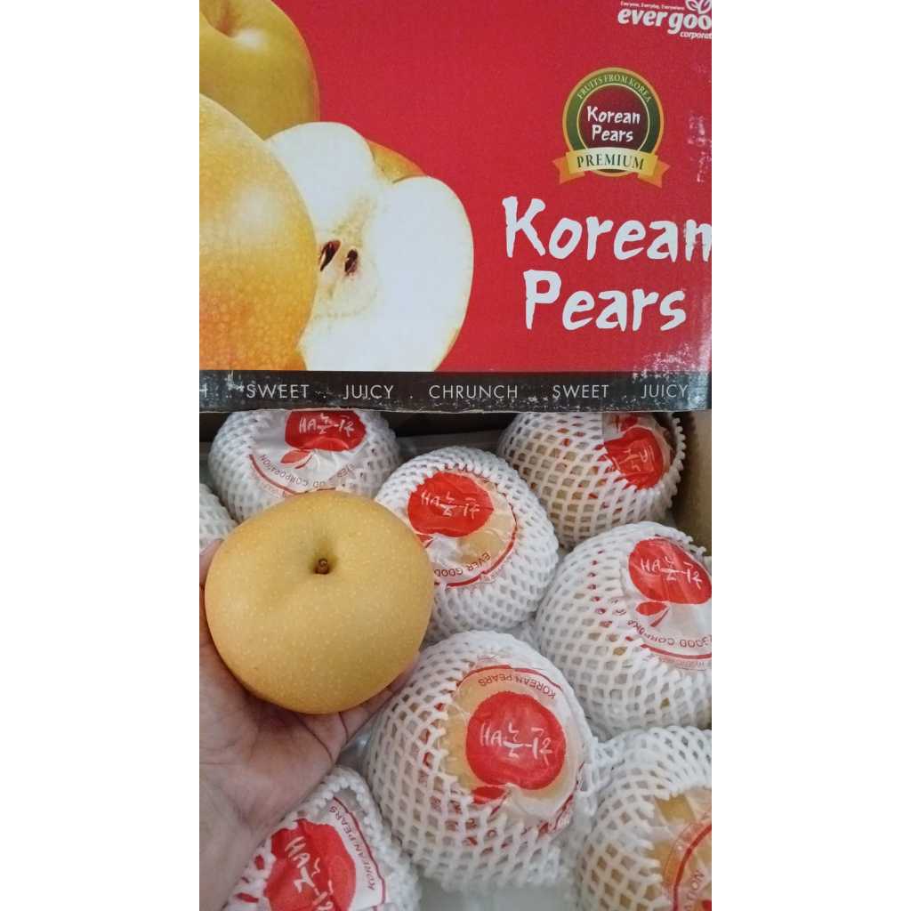 

PIR KOREA PREMIUM. PIR KOREA COKELAT. PIR COKLAT BULAT