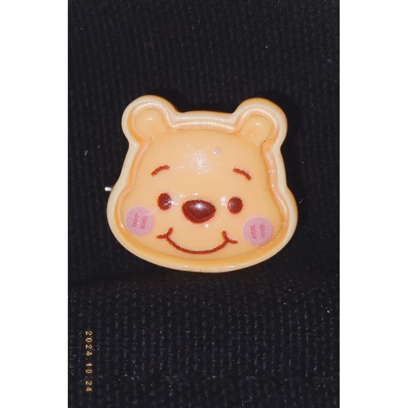 The pooh bros pin.