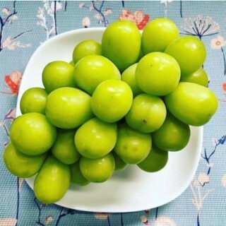 BIBIT ANGGUR IMPORT SHINE MUSCAT VALID 100%