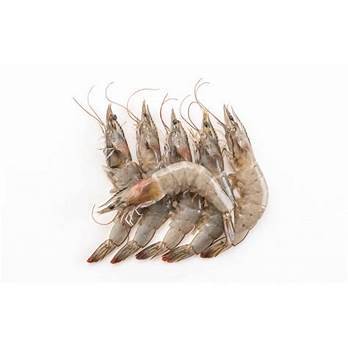 

Udang laut kecil 250 gr