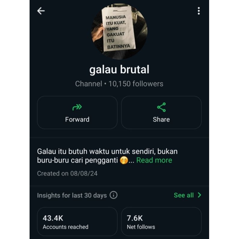 Jual Saluran CH Channel WA Whatsapp Followers Banyak Berkualitas