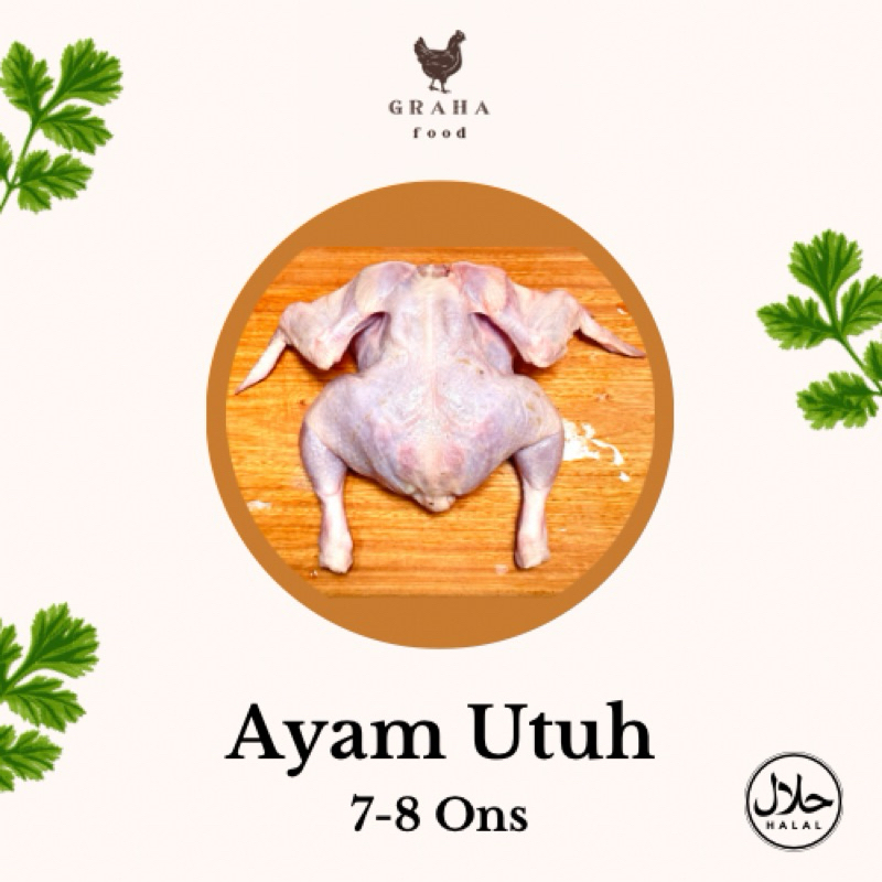 

Ayam Karkas / Ayam Utuh 7-8 Ons Pengiriman Instant dan Sameday Graha Food