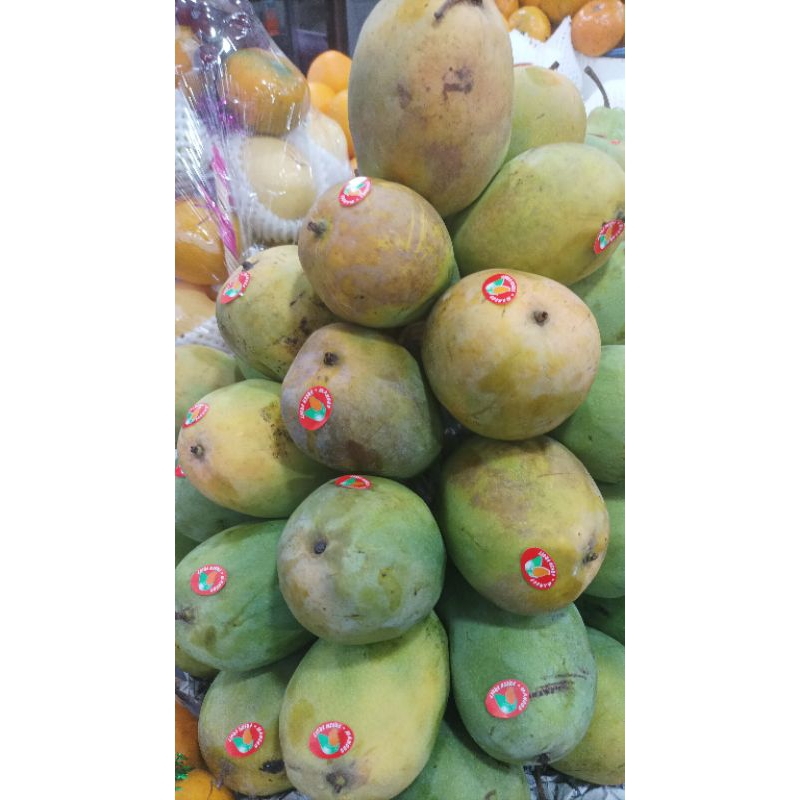 

mangga arum manis purbolinggo