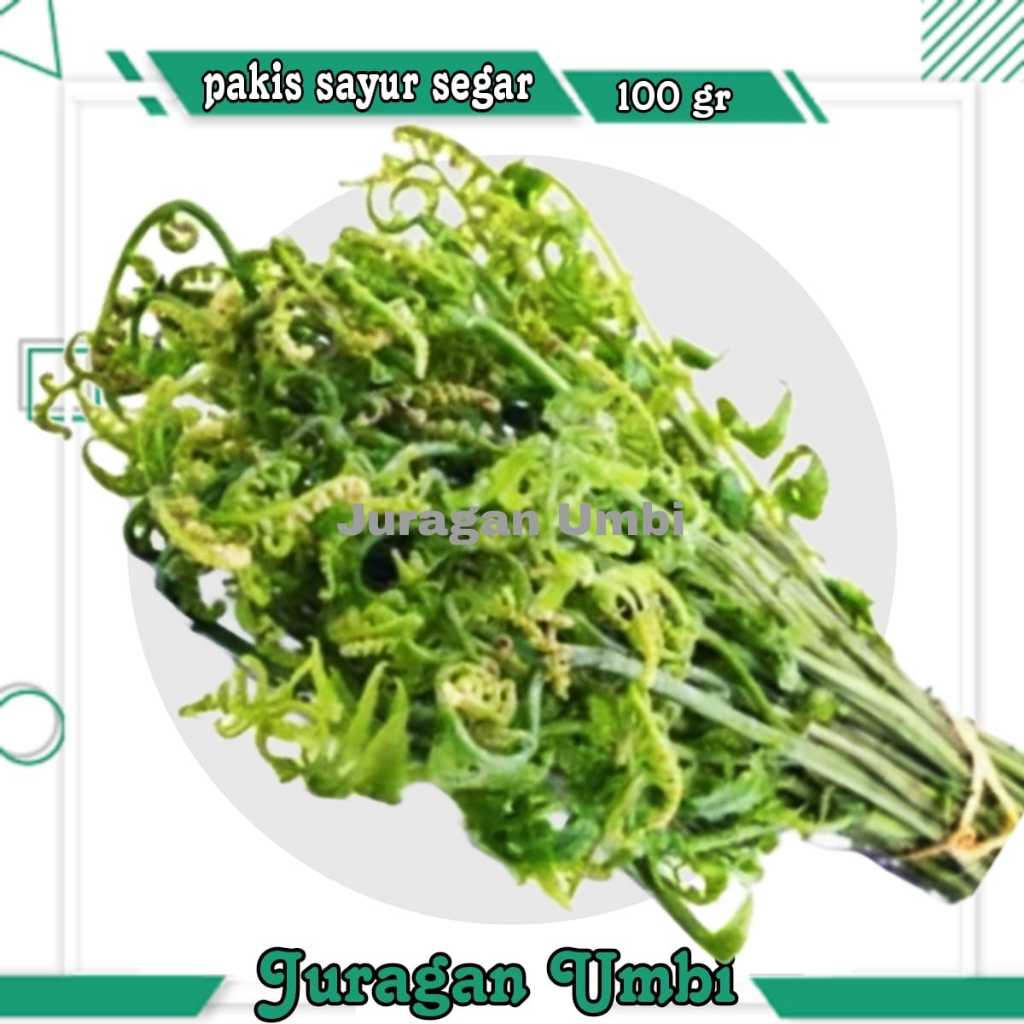 

Sayur Pakis Segat 250 gram